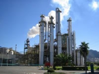 ZelluIose-Ethanol Produktion